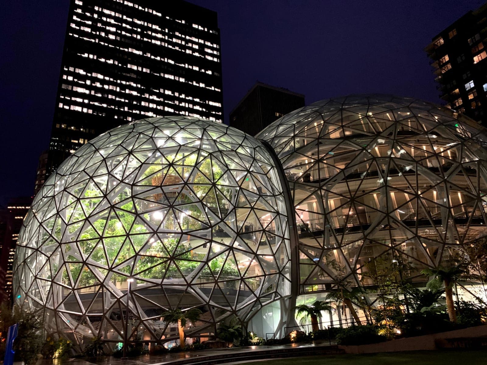 The Spheres, glass domes lit at night, with plants inside and office towers in the background.